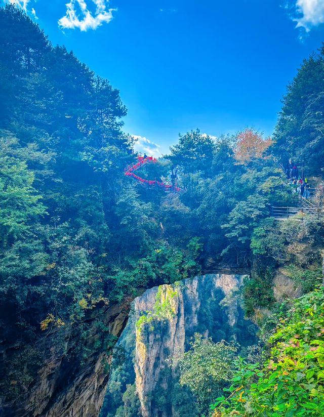 走進張家界國家森林公園，醉了心，養了眼！