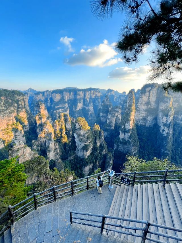 走進張家界國家森林公園，醉了心，養了眼！