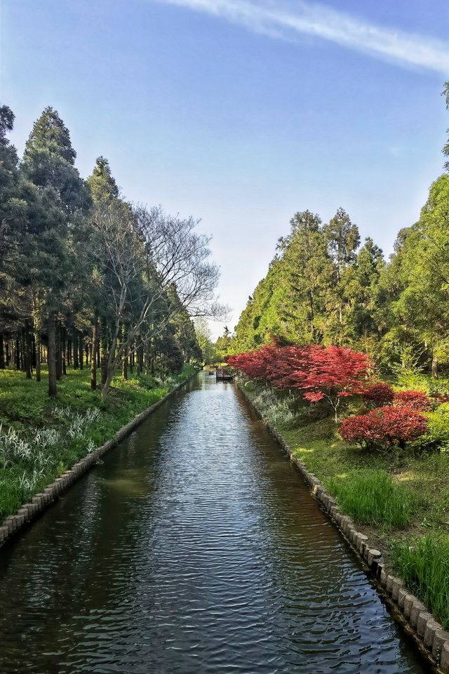 東平國家森林公園