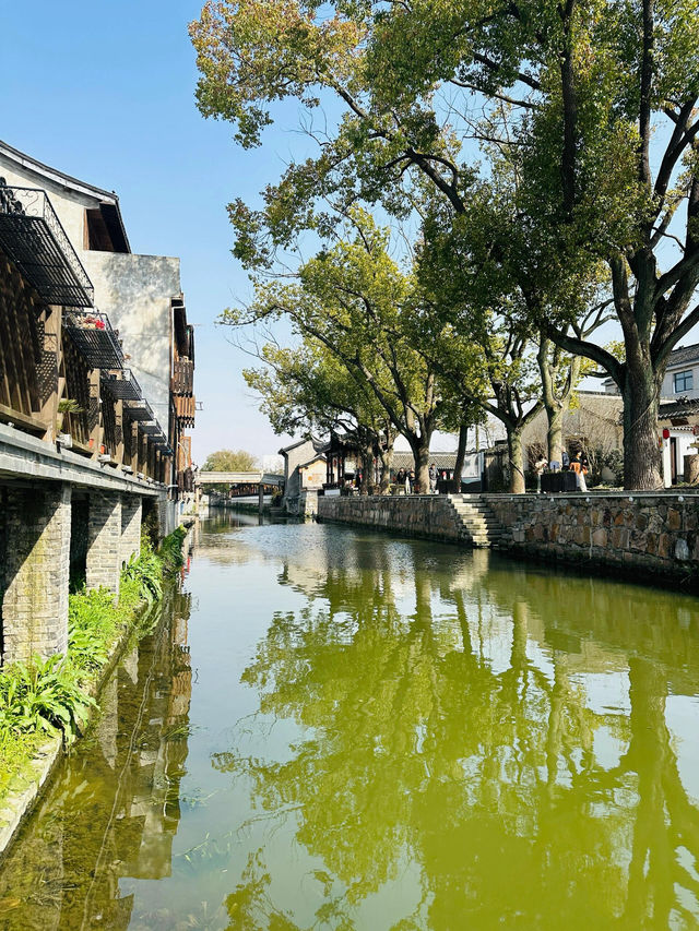 上海本地遊青溪古鎮