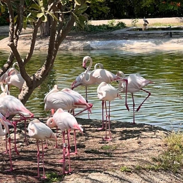 🏜️Check in Dubai's Most Expensive Park