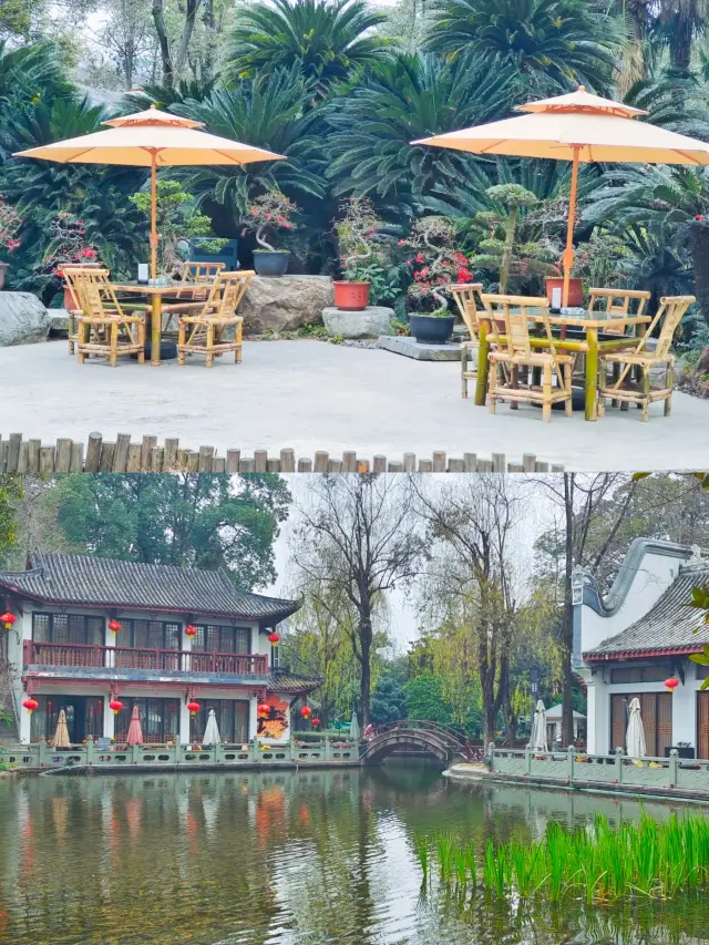 Come to Baihuatan Park in Chengdu to enjoy the flowers and the park in spring!