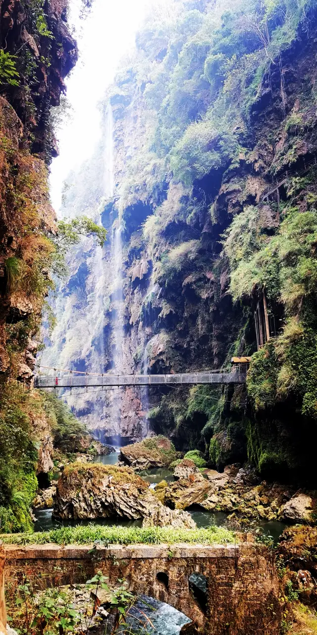 Flowers bloom in Yunnan and Guizhou | Maling River Grand Canyon a