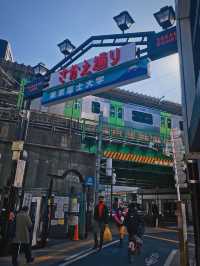 東京行，連接歷史與未來的街區，探訪高田馬場