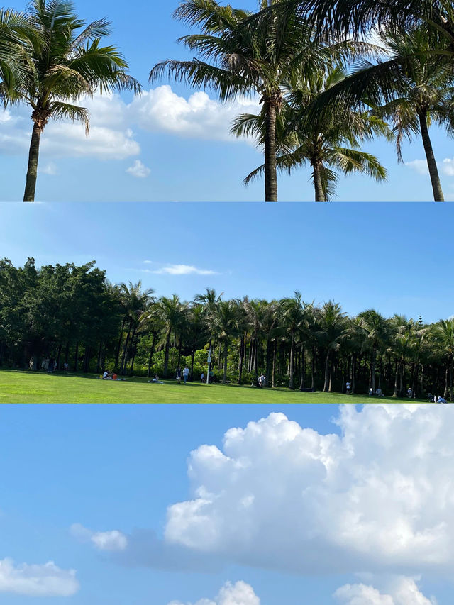 這裡是三亞|深圳海濱生態公園遊玩攻略