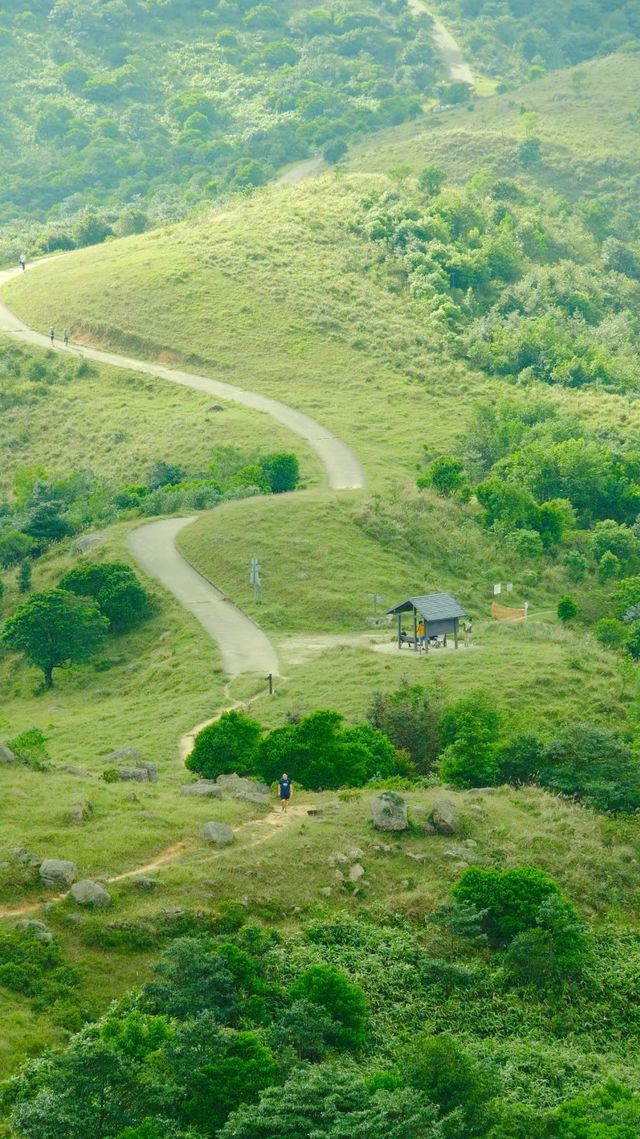 你們可知道福建廈門的一處世外桃源？？廈門特房大帽山心動嗎？