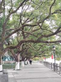 吃完早餐後，來金華婺州公園溜達一圈