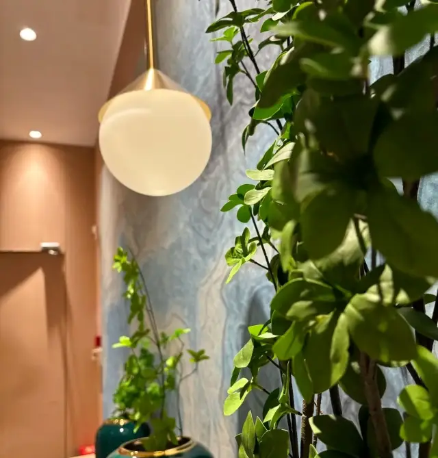 The fragrance of the gardenia in the room is just too pleasant