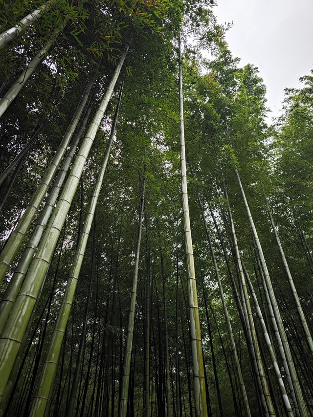 溧陽兩日遊