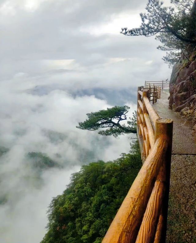 雲中棧道，上過央視新聞，羊獅幕太火了