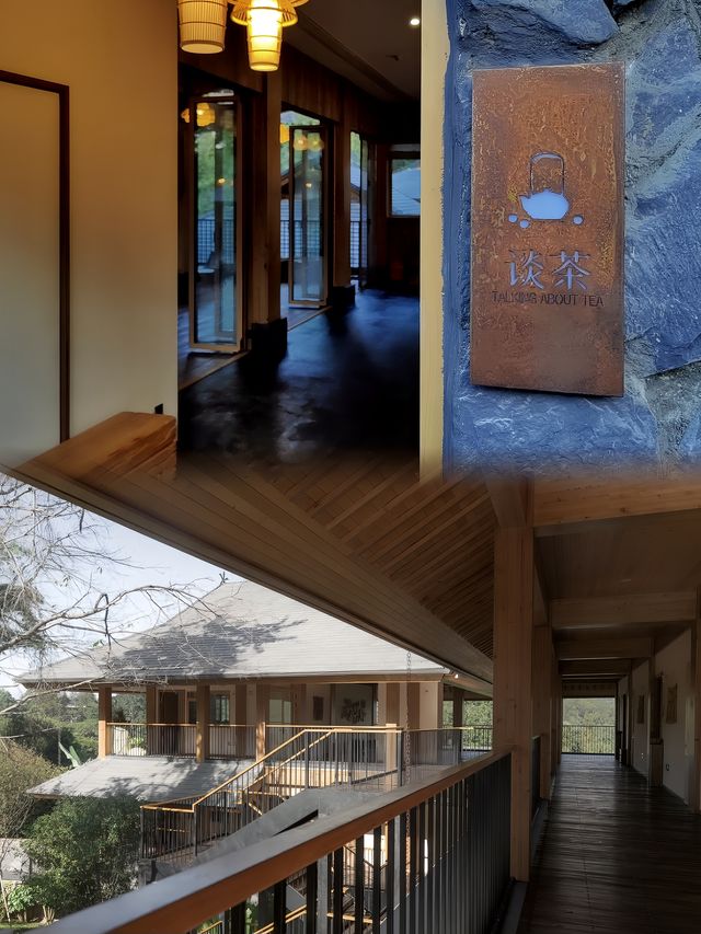 跟著趙思露一起依茶山為伴與雲海同眠，又續住了三天