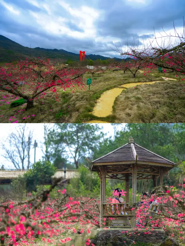 連州自駕遊不小心“闖”進桃花盛開的山野