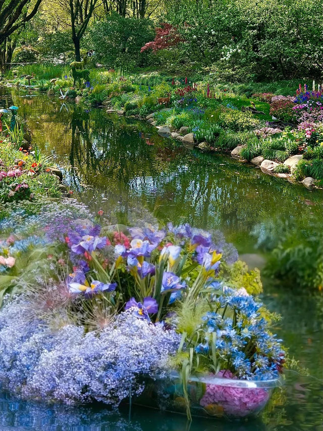 現實版莫奈花園 | 上海共青森林公園