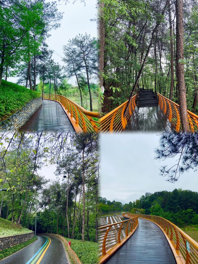 成都永安湖森林公園，地鐵直達的城市森林露營樂園