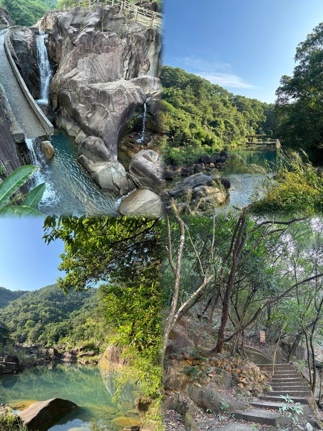 珠三角後花園|惠州南昆山森林公園