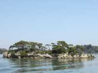 探索松島：260座島嶼的魅力