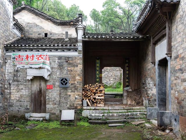 九古奇村｜人回來了 心還留在這