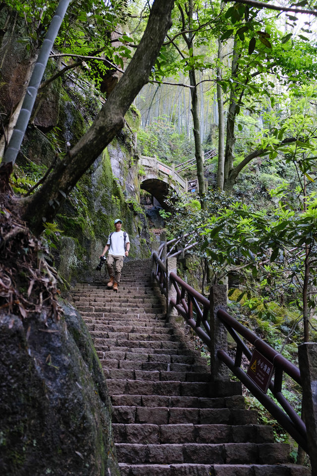 莫干山這條親子徒步線路，一定要注意了