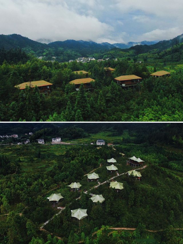 假期反向出游，在郴州！雲端之上的森林民宿