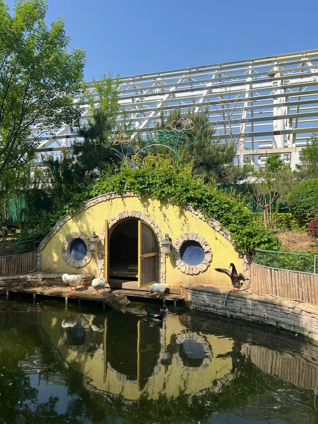 北京豐台南宮五洲植物園｜被騙了這哪裡是植物園
