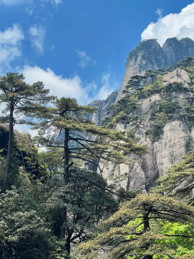 Mount Sanqing Hiking | A destination that's already on the next level