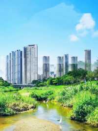 我宣布！ 大沙河生態公園是深圳公園的天花板！