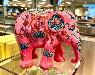 The beautiful Amsterdam airport surprisingly has a mouse problem