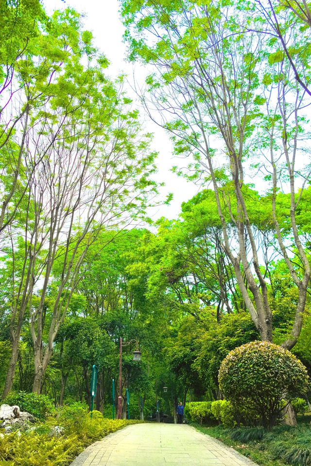 武漢小眾寶藏地探秘——龍華寺