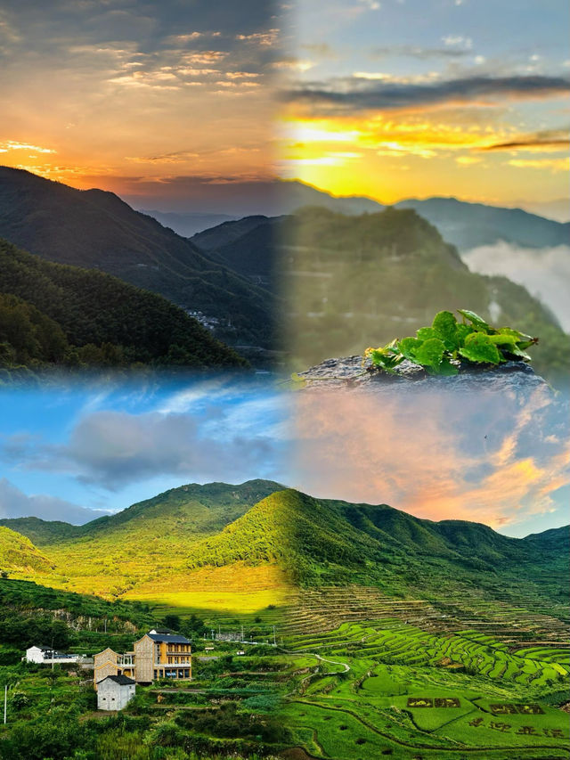 紹興覆卮山•我宣布這是最美小眾徒步地