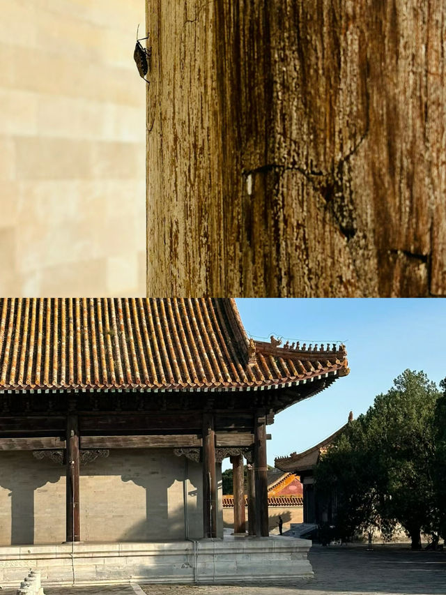 一座清西陵，半步清王吏