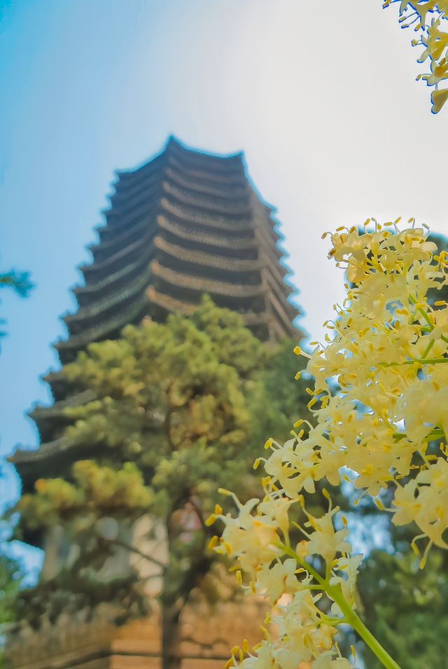 北京大學｜這個暑假，來逛逛學霸遍地的百年校園