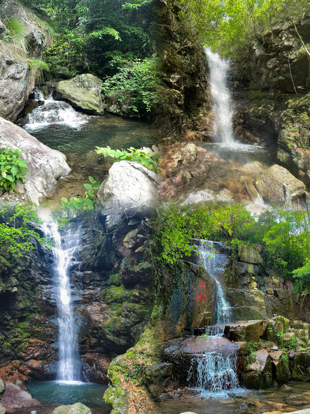 掉落山林間，鑽進大自然裡湖州安吉