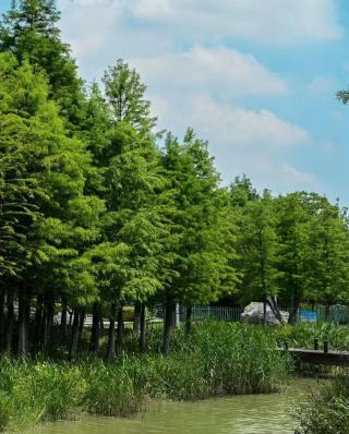 Explore Yujia Lake Park in Fuyang