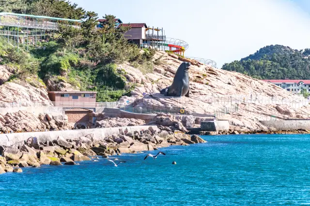 Weihai Shendiaoshan: A picturesque summer resort, a great place for a summer vacation!