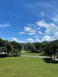 燈塔圖書館|面朝大海的圖書館看書也看海