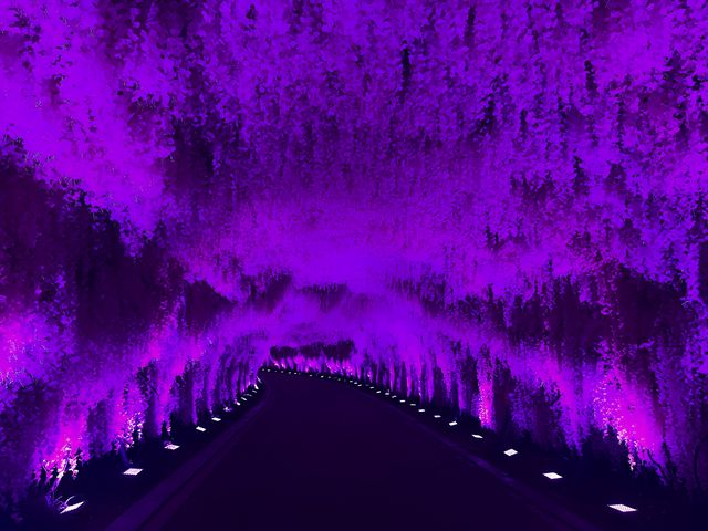 夜遊大陽山，瓊樓花月夜