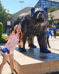 加州大學洛杉磯分校UCLA，不愧是夢中情校