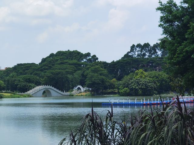 水上槳板飄
