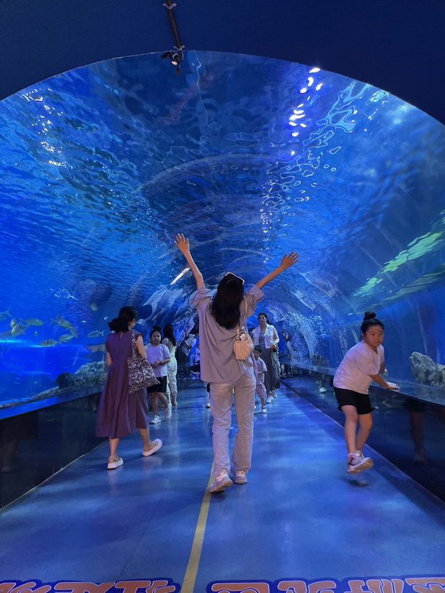 夏日沉浸在夢幻海底奇境
