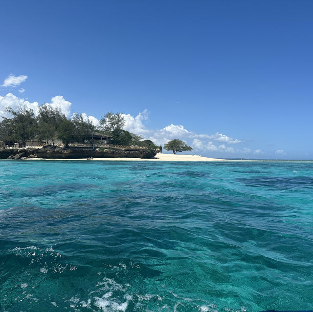 Enchantment in Zanzibar 
