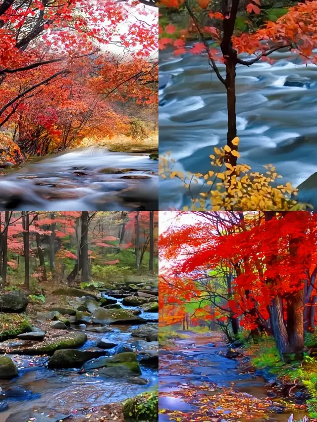 Mid-Autumn Jilin Jiaohe Red Leaf Valley 3 Days 2 Nights Travel Guide
