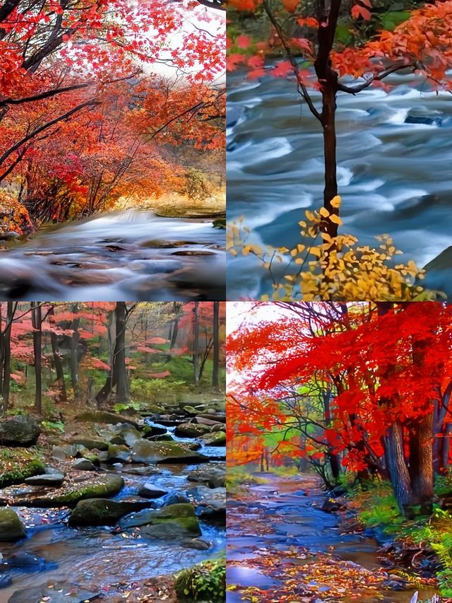 中秋吉林蛟河紅葉谷3天2夜遊攻略