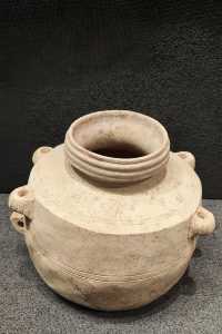龜茲魏晉古墓遺址博物館旅遊攻略剛開館不久