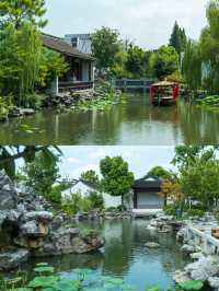 誰還不知道，蘇州古城裡也一片桃花塢