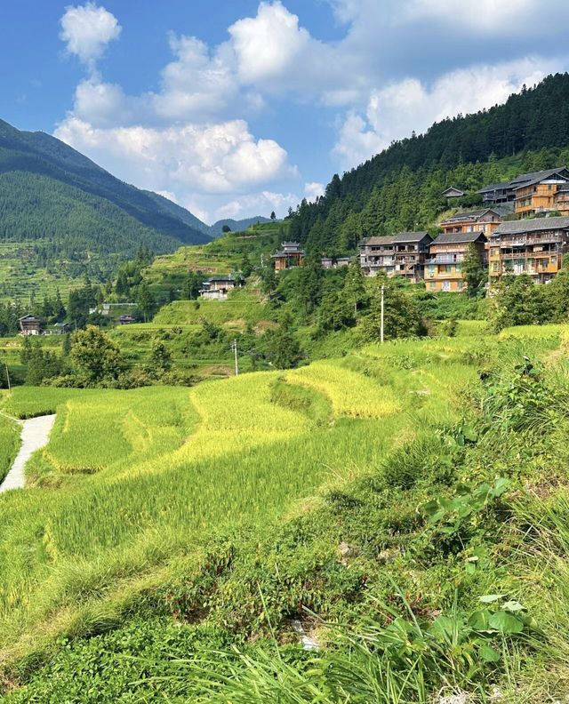 堂安侗寨 雲端梯田