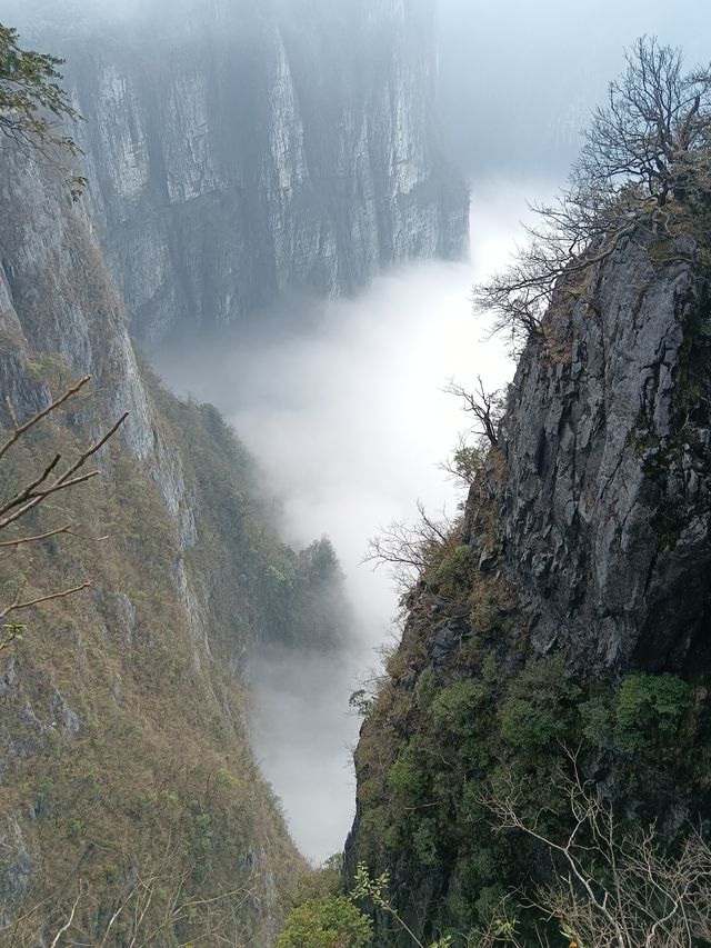 天門山景區（湖南省張家界市，5A級景區）。