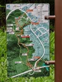 深圳秘境！森林綠道探險🌳