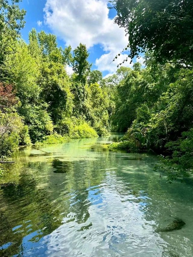  Kelly Park Water Sports Kayaking Wonderful Experience🌹🤩