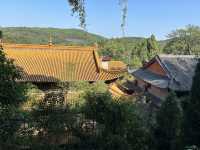 不可錯過的靜修之地——江西吉安青原山。