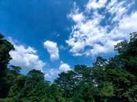 陽台山公園。